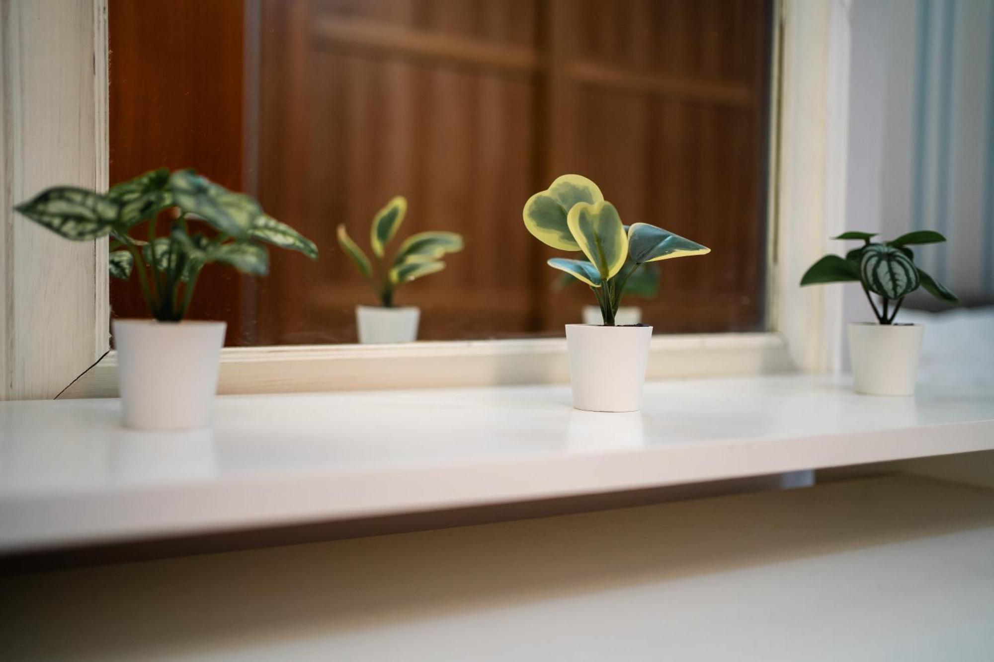 Central Duplex Apartment In Belfast City Centre Ngoại thất bức ảnh